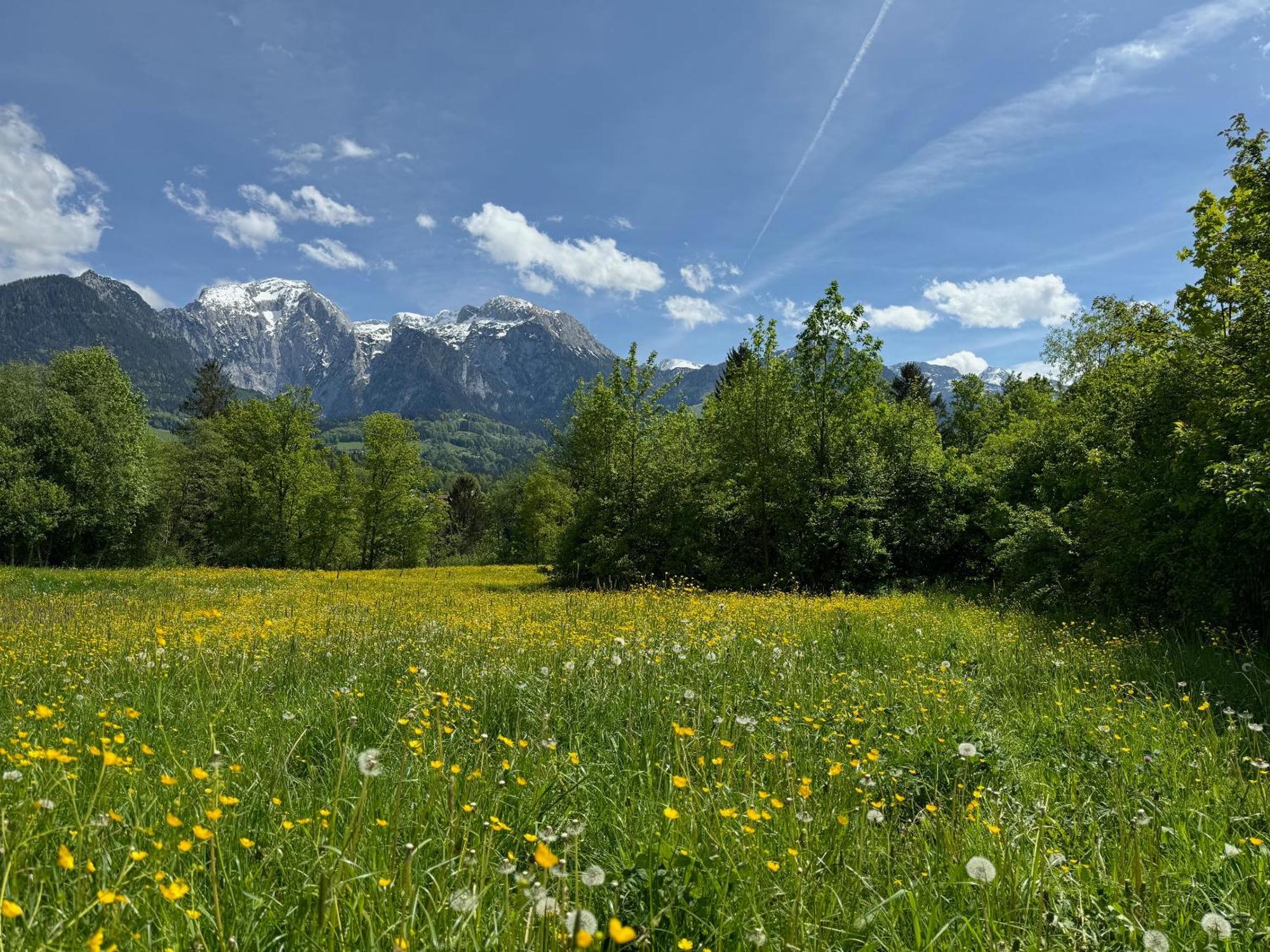 Struberberg * Bischofswiesen